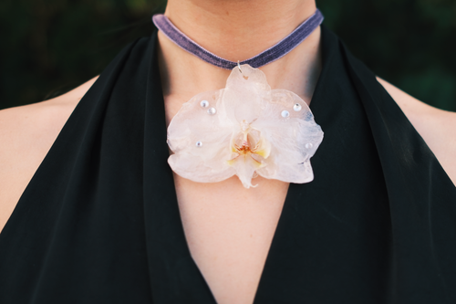 Custom Orchid Order